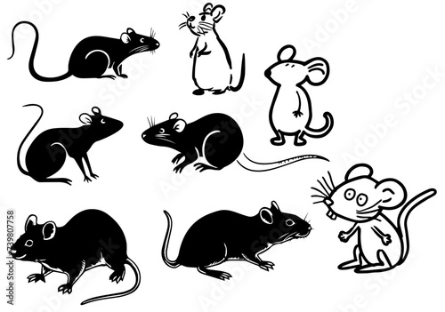 Rat mouse vector transparent background PNG clipart