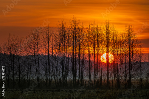 Zachodzące słońce za lasem. Zachodzące słońce za drzewami. Koniec zimy. Zachód słońca w lesie. © Arkadiusz Baczyk