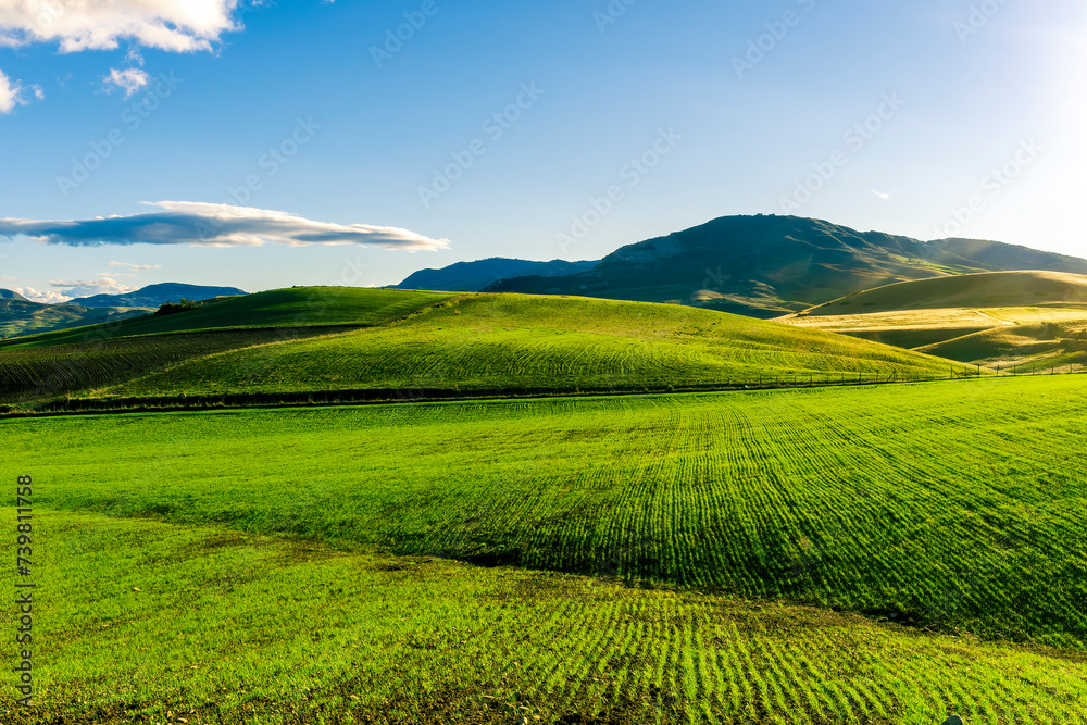 Green spring landscape with field and grass. Fairytale minimalist landscape with young growth on green background. Natural rural landscape in green.