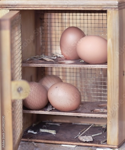 chicken eggs in a rustic box opening on wooden background