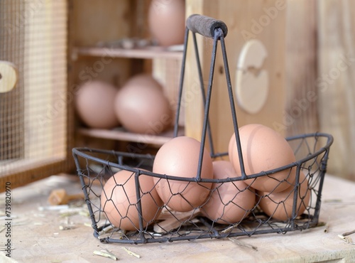 chicken eggs collected in little metal basket in front of  a opening eggs box...
