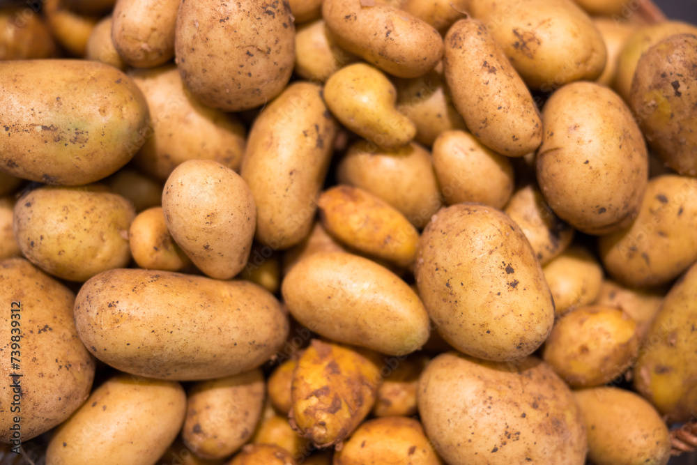 viele frische Kartoffeln in der Draufsicht viele frische Kartoffeln in der Draufsicht