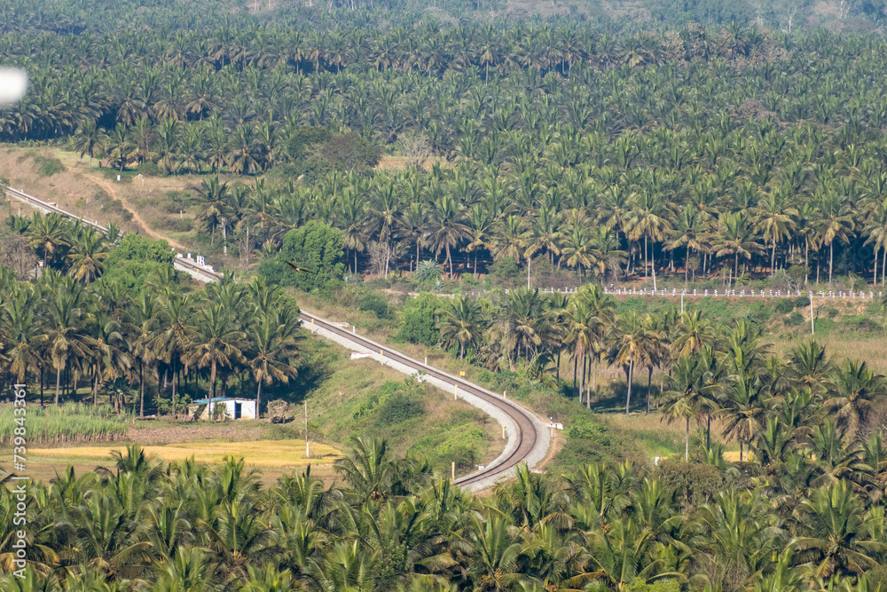Aerial View of a Serpentine Road Amidst Palm Trees in Shravanabelagola, India
