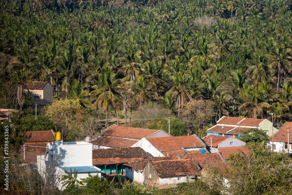 Scenic View of Shravanabelagola Village Amidst Lush Coconut Groves in Daylight