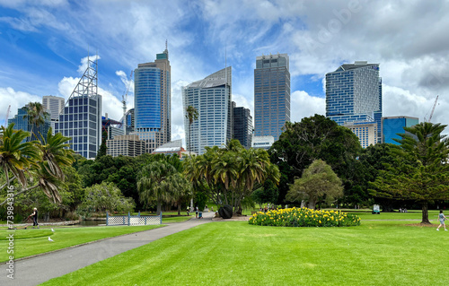 Public park with skyscrapers in background in Sydney