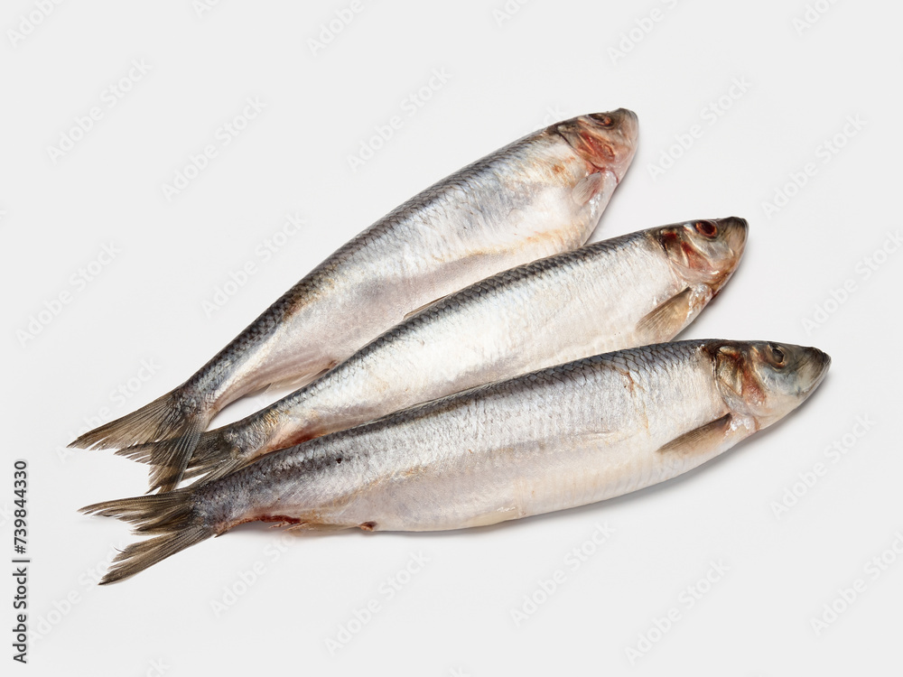 lightly salted herring isolate on a white background lightly salted herring isolate on a white background