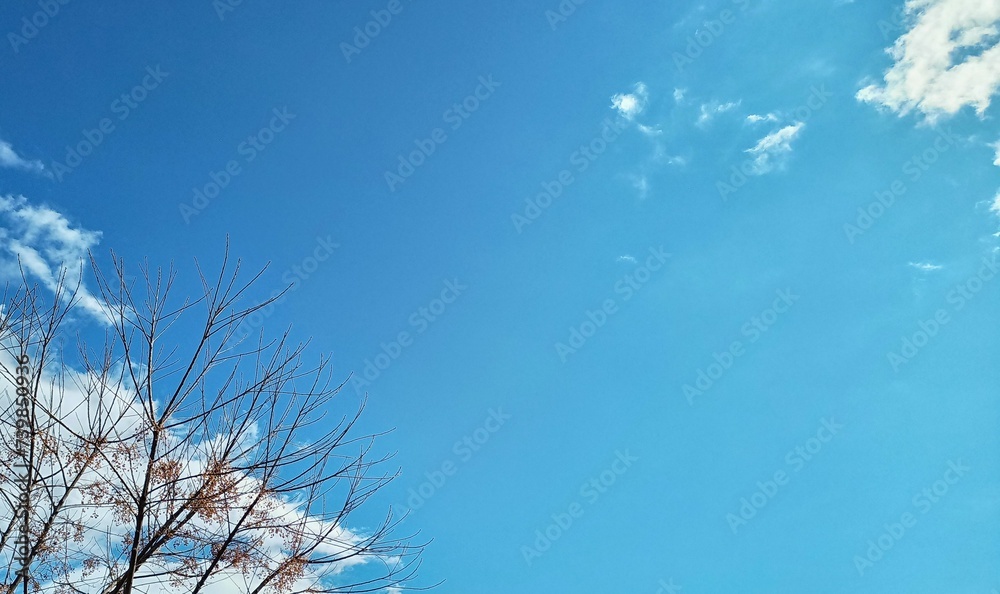 Blue Sky in Beautiful Winter, Natural Weather in Autumn Season, landscape 