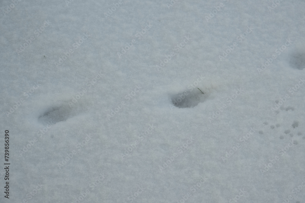 schnee schuh abdruck fuß winter stadt schnee schuh abdruck fuß winter stadt