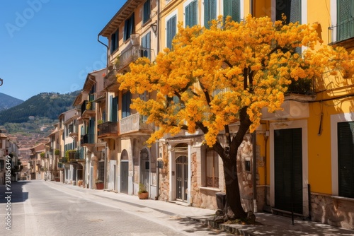 Vibrant yellow mimosa tree on sunny day, standing out against historic streets of rome, italy © vetrana