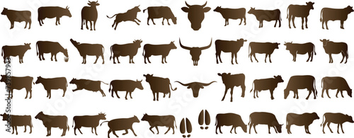 Cow silhouette, various cow poses, black graphics, white background, ideal for farm, dairy, beef advertisements, educational graphics