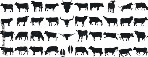 Cow silhouette, black cows on white, farm, dairy, livestock, animal, agriculture, graphic, cow, cattle, bull, calf, horns, tail