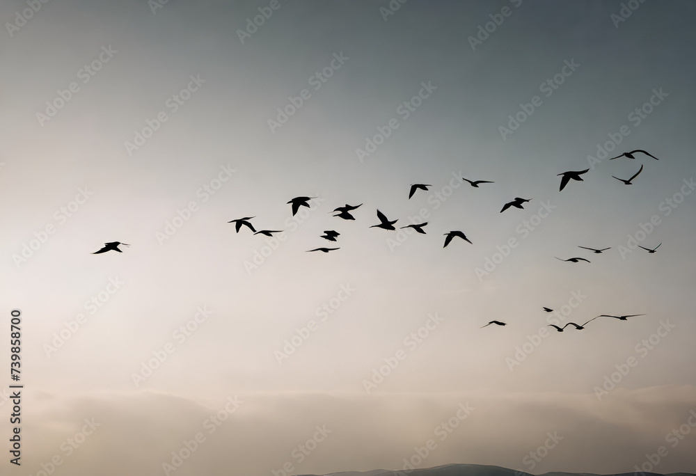 migratory birds flying on sky, minimal style	
