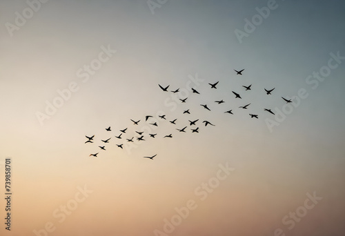 migratory birds flying on sky, minimal style	
 photo