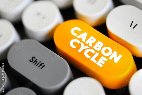Carbon Cycle - process in which carbon atoms continually travel from the atmosphere to the Earth and then back into the atmosphere, text concept button on keyboard