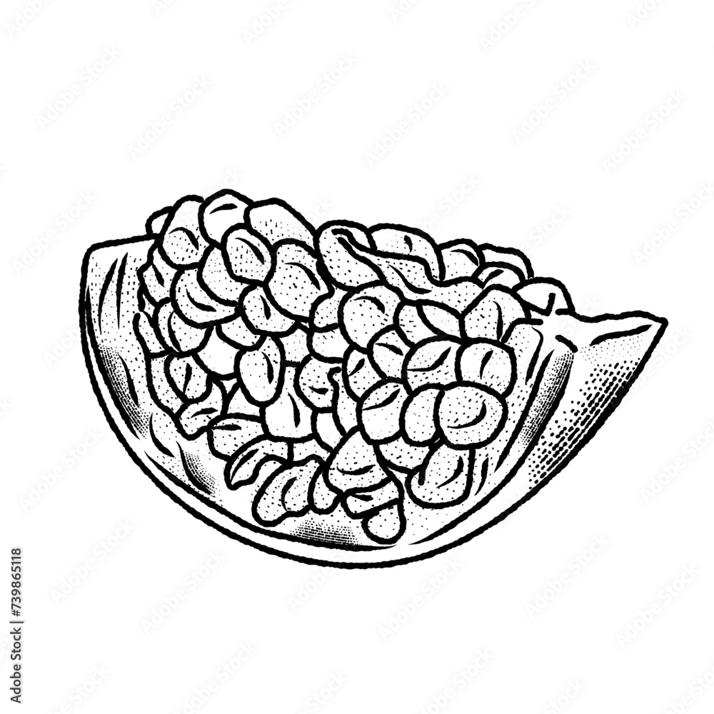 Fototapeta premium Pomegranate fruit. Hand drawn engraving. Editable vector vintage illustration. Isolated on light background.