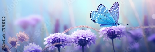 Natural Beauty: Light Blue Flowers and Fluttering Butterflies in Field. Close-up Macro Shot