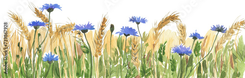 Border of watercolor wildflowers cornflowers and wheat