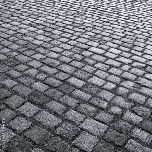 Old wet stone paved avenue street road