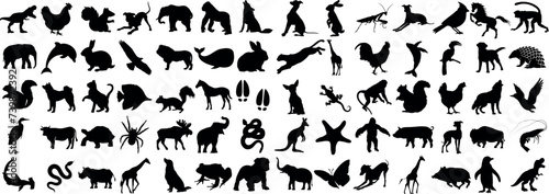 Fototapeta Naklejka Na Ścianę i Meble -  diverse wildlife animal silhouette on dark background. Collection includes elephant, lion, monkey, bird, and more. Perfect for nature, education, and conservation projects