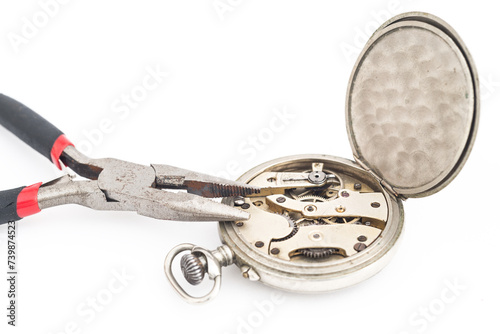 Timeless Precision: A Watchmaker's Artistry in Action