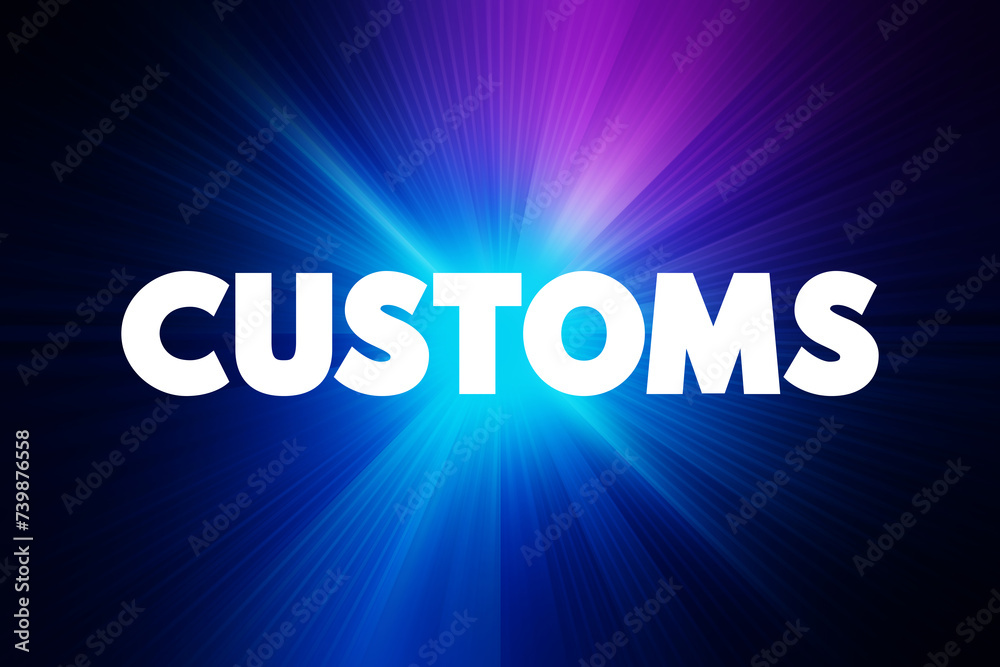 Customs - authority or agency in a country responsible for collecting tariffs and for controlling the flow of goods, text concept for presentations and reports