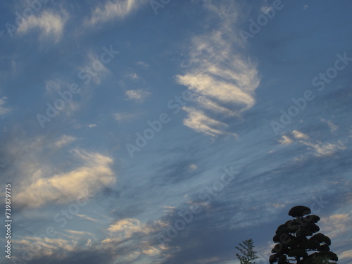 梅雨あけの青空と緑の木々