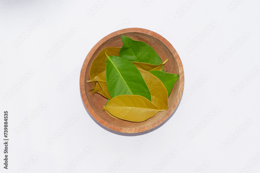 Bay leaves in a wooden bowl isolated on white Bay leaves in a wooden bowl isolated on white