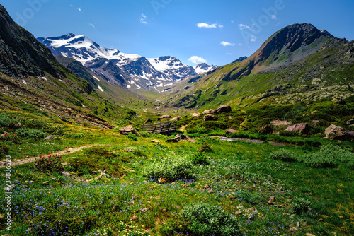 Foto Alpine panorama with a small river during the summer in the South Tyrol