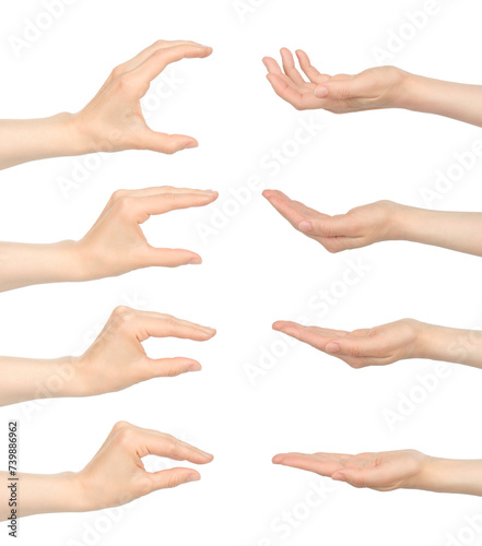 Set of Woman hands with stages of holding gestures, isolated on transparent background