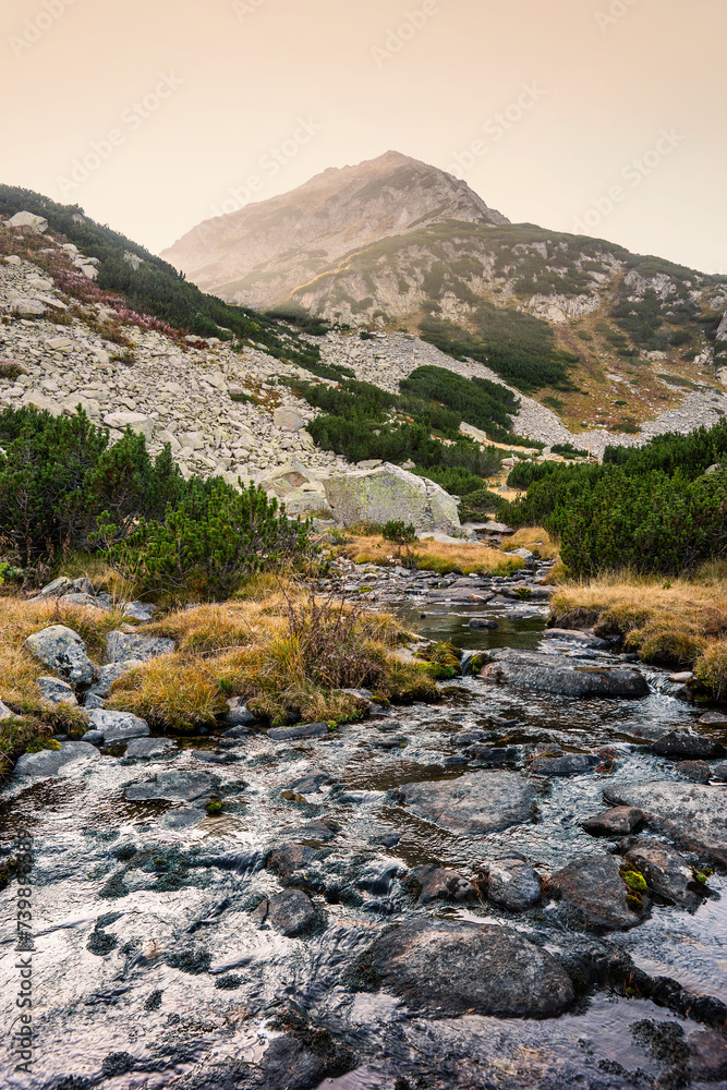Evening view of the Muratov peak, a small mount in Pirin, and a stream flowing from Muratovo lake. Summer landscape in Pirin national park near Bansko, Bulgaria.