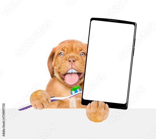 Mastiff puppy with funny big teeth holds the toothbrush with toothpaste and holds big smartphone with white blank screen in it paw above empty banner. isolated on white background