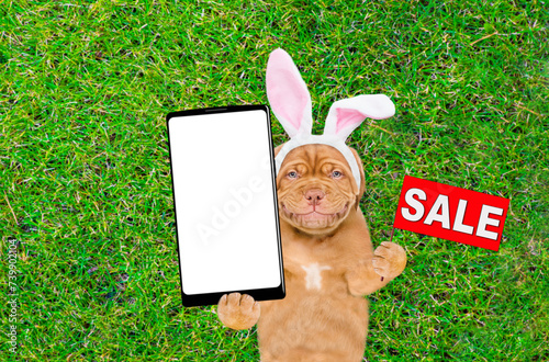 Happy Mastiff puppy wearing easter rabbits ears holds big smartphone with white blank screen in it paw and lies on its back on green grass. Top down view