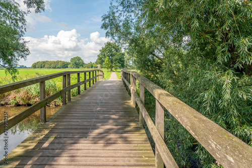 Simple wooden bridge over the water of a wide ditch. Willow trees grow on either side. The photo was taken in the Dutch province of North Brabant on a sunny day in late summer.