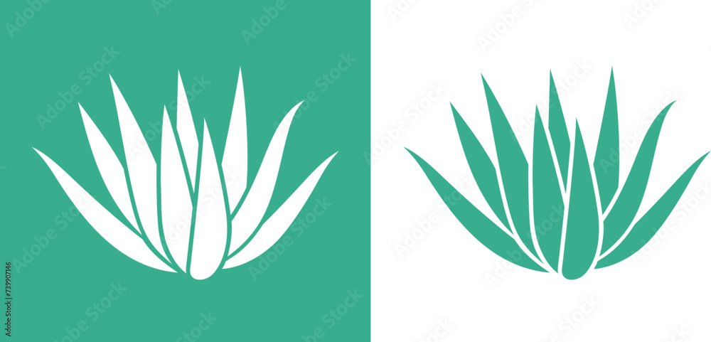 Agave logo. Isolated agave on white background - obrazy, fototapety, plakaty 