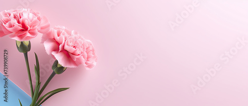 Minimalist blooming Pink Carnation flower with leaf on soft pink pastel colors background with space for text created with Generative AI Technology © AstraNova