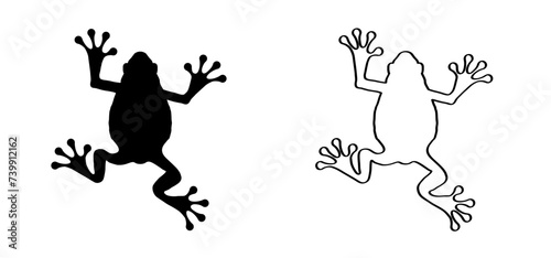 Big toad frog vector. Frogs feet. drawing footprint or footstep print. Cartoon reptile. Amphibian icon. Line pattern. 