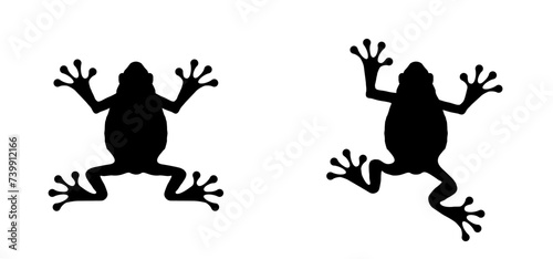 Big toad frog vector. Frogs feet. drawing footprint or footstep print. Cartoon reptile. Amphibian icon. Line pattern. 