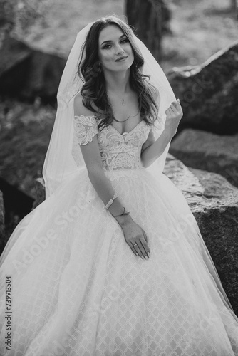 Portrait of beautiful bride in white wedding dress © Sergey