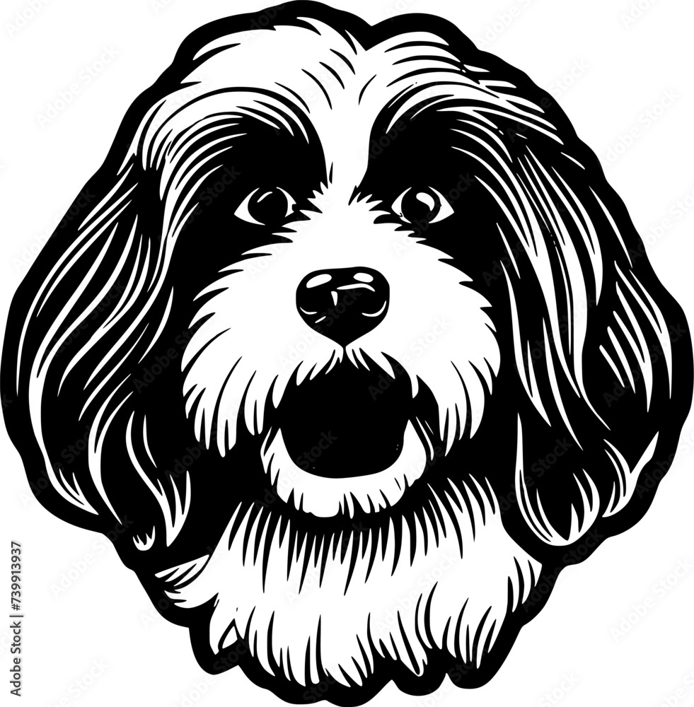 Havanese - Black and White Isolated Icon - Vector illustration Havanese - Black and White Isolated Icon - Vector illustration