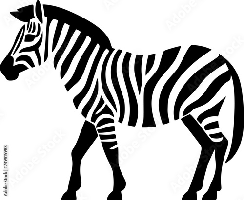 Zebra   Black and White Vector illustration