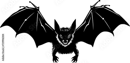 Bat - Black and White Isolated Icon - Vector illustration photo