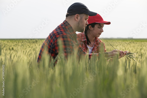 Young farmers examing planted young wheat © Vesna