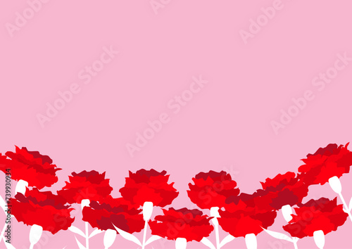 母の日　カーネーションの背景素材