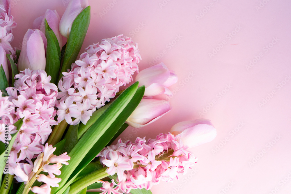 Easter scene with tulips and hyacinth flowers over pink background close up