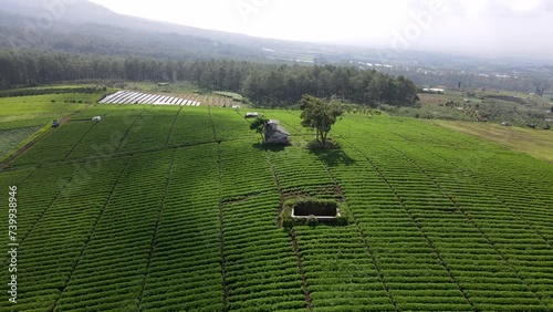 Jengkoang, a highland area filled with vegetable farming land. Green land in mountainous areas photo