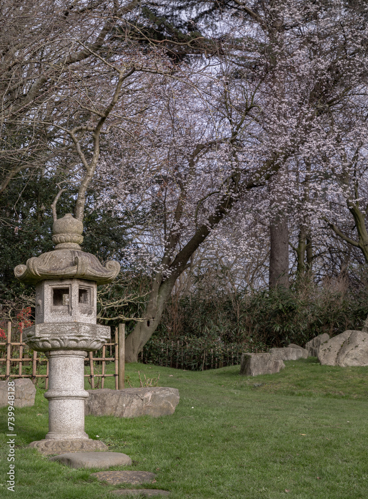 Decorative japanese stone lantern in front of Cherry blossom trees in The Japanese Kyoto Garden at Holland Park. A Japanese Garden designed to bring Japanese landscaping to London, Space for text, Sel Decorative japanese stone lantern in front of Cherry blossom trees in The Japanese Kyoto Garden at Holland Park. A Japanese Garden designed to bring Japanese landscaping to London, Space for text, Sel