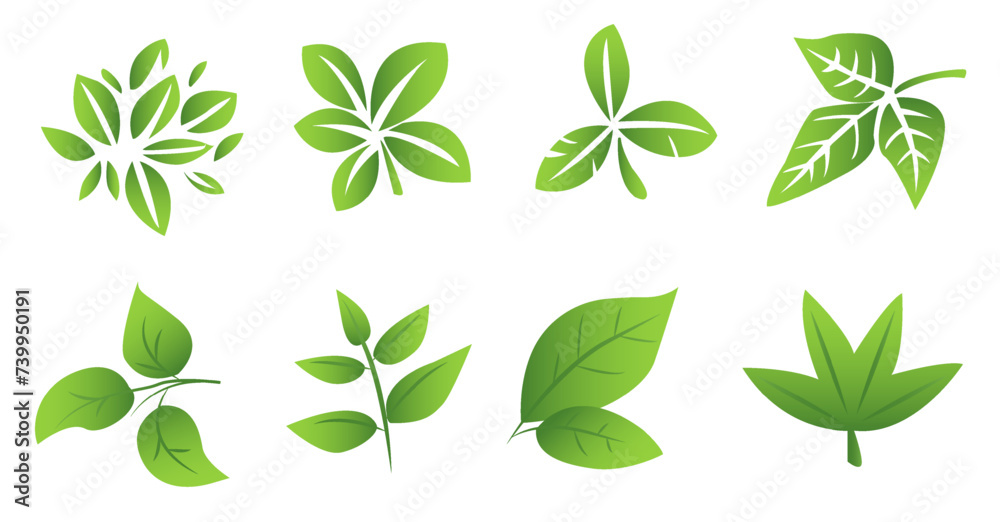 A set of green leaves on a white background, for logos, designs, for the symbolism of the green planet A set of green leaves on a white background, for logos, designs, for the symbolism of the green planet