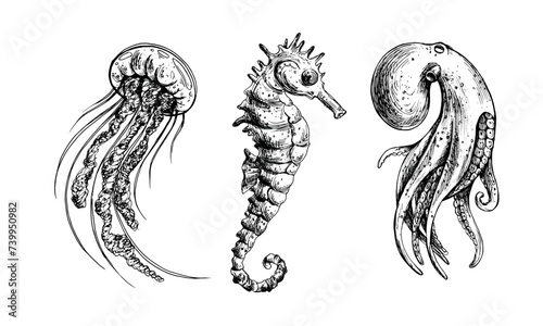 Underwater world clipart with sea animals octopus, seahorse, jellyfish. Graphic illustration hand drawn in black ink. A set of isolated elements EPS vector