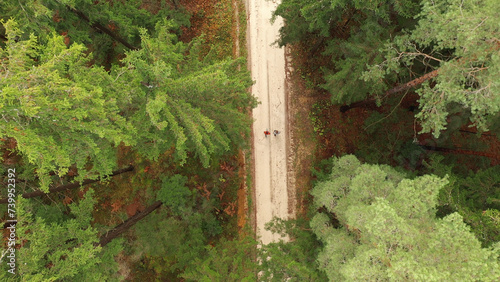 Aerial view of a couple walking on forest road with trees.