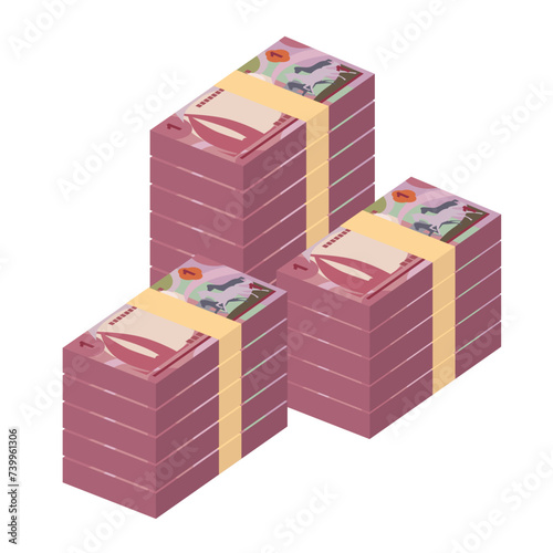 Bahraini Dinar Vector Illustration. Bahrain money set bundle banknotes. Paper money 1 BHD. Flat style. Isolated on white background. Simple minimal design.